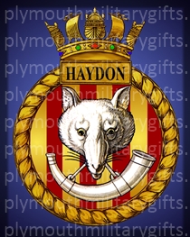 HMS Haydon Magnet